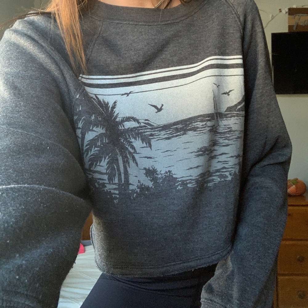 Hollister Soft Cropped Crewneck